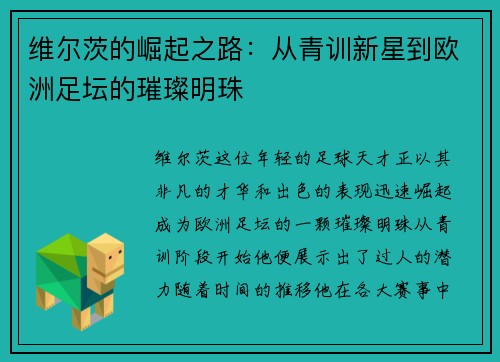 维尔茨的崛起之路：从青训新星到欧洲足坛的璀璨明珠