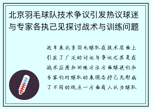 北京羽毛球队技术争议引发热议球迷与专家各执己见探讨战术与训练问题